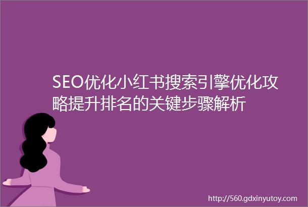 SEO优化小红书搜索引擎优化攻略提升排名的关键步骤解析